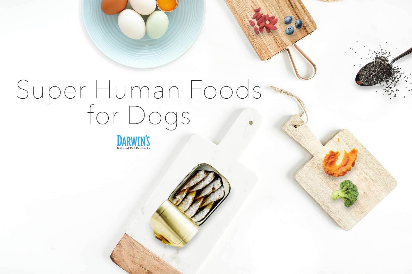 7 Human Superfoods to Share with Your Dog