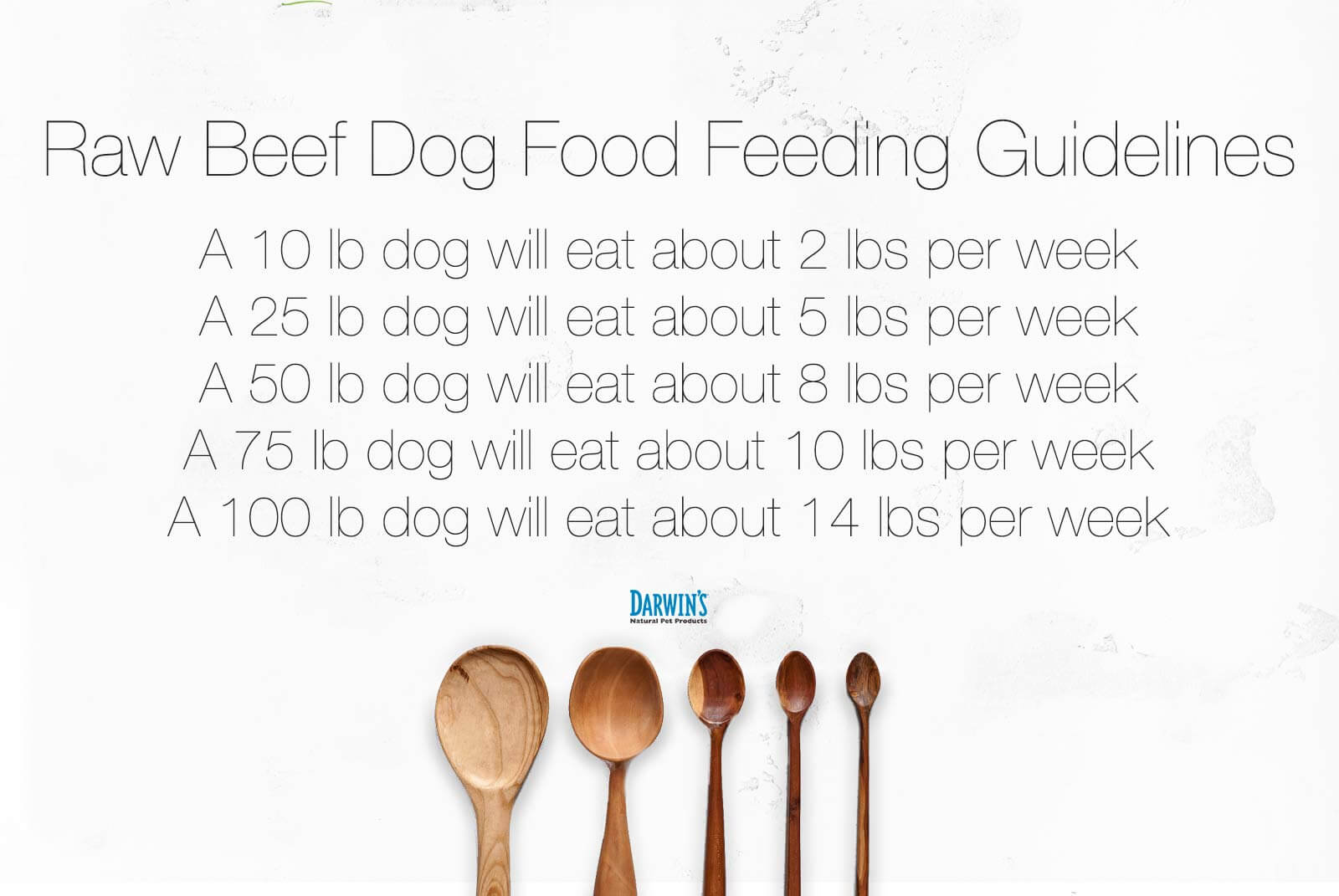 dog-food-feeding-guide
