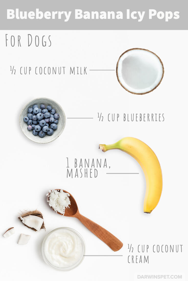 Is blueberry yogurt bad for dogs hotsell