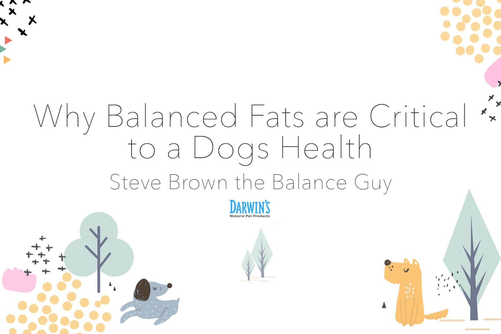 Why Balanced Fats Are Critical to a Dog’s Health: Part 2