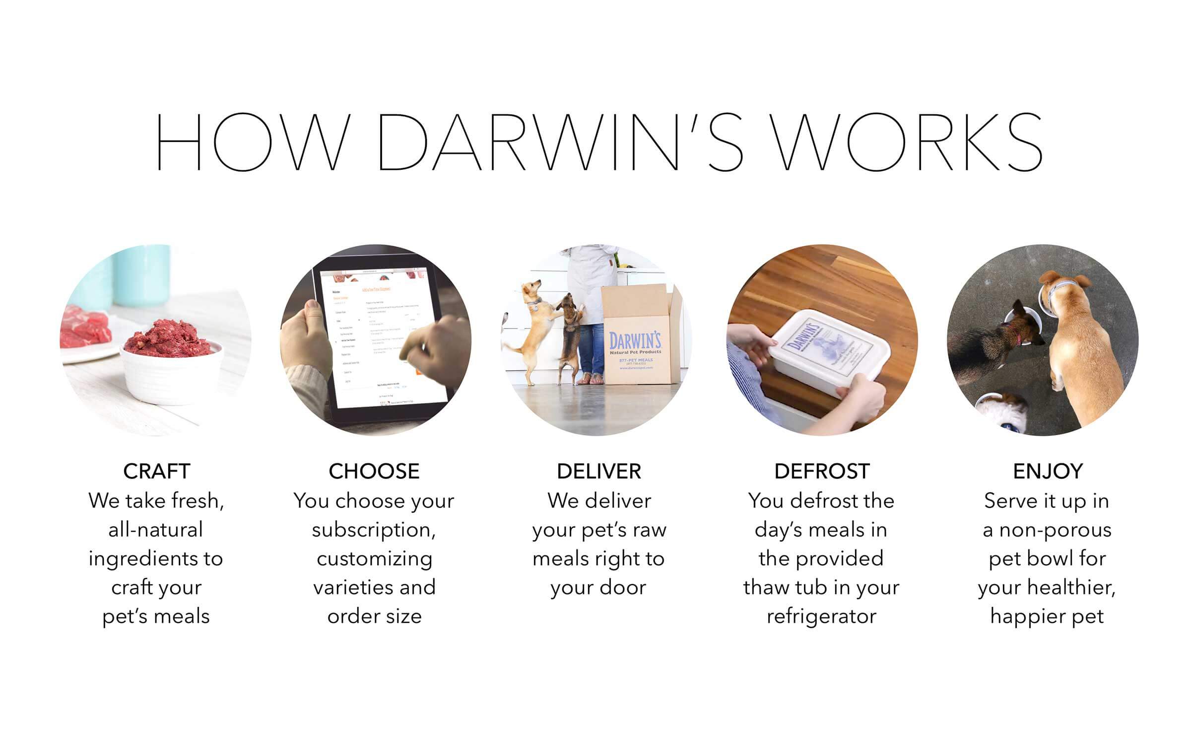 Home Delivery Program Of Darwin s Pet Food Darwin s Natural Pet Products Darwin s Pet Food home-delivery-program-of-darwin-s-pet-food-darwin-s-natural-pet-products-darwin-s-pet-food