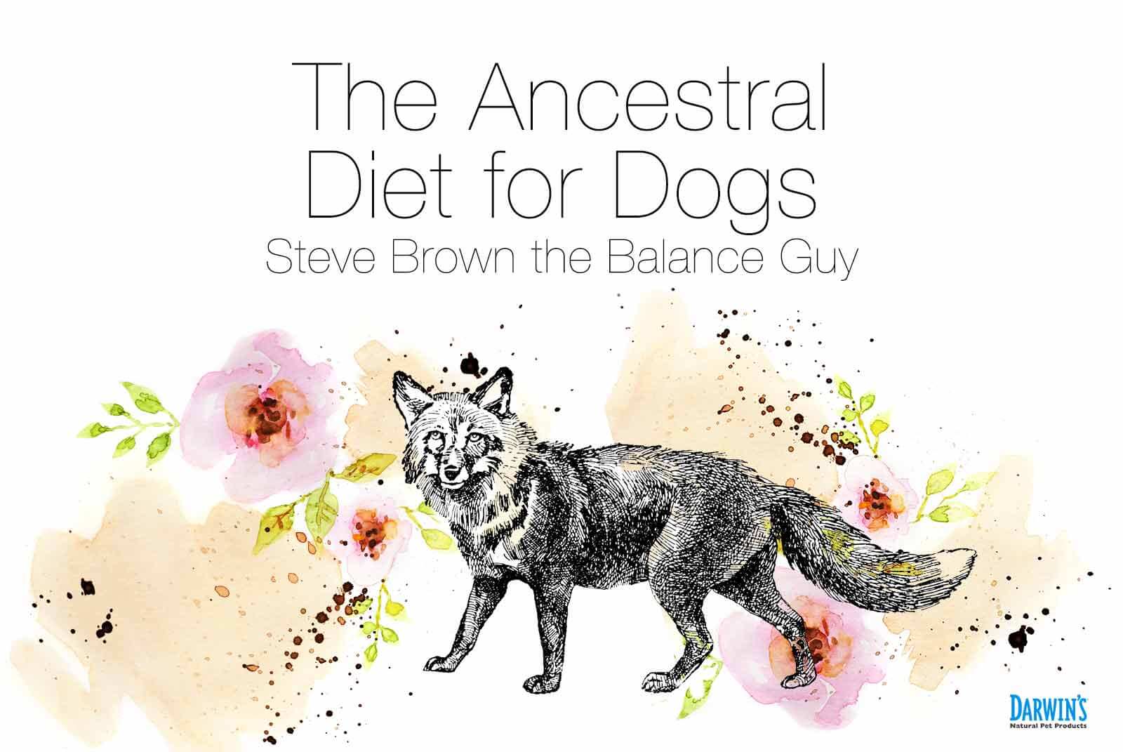 The Ancestral Diet for Dogs