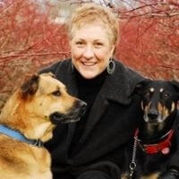 Jeanne Romano - Menu Consultant at Darwin's Natural Pet Products