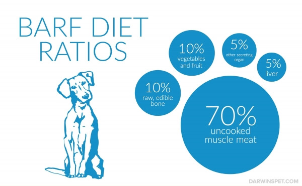 benefits of barf diet for dogs