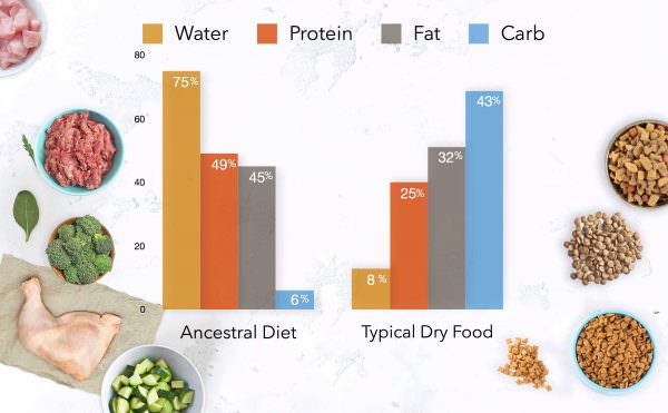 ancestral diet for dogs compaired to dry dog food diet