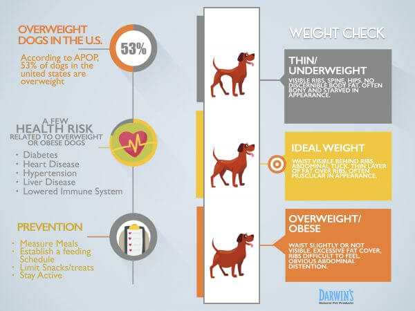 weight-info-card