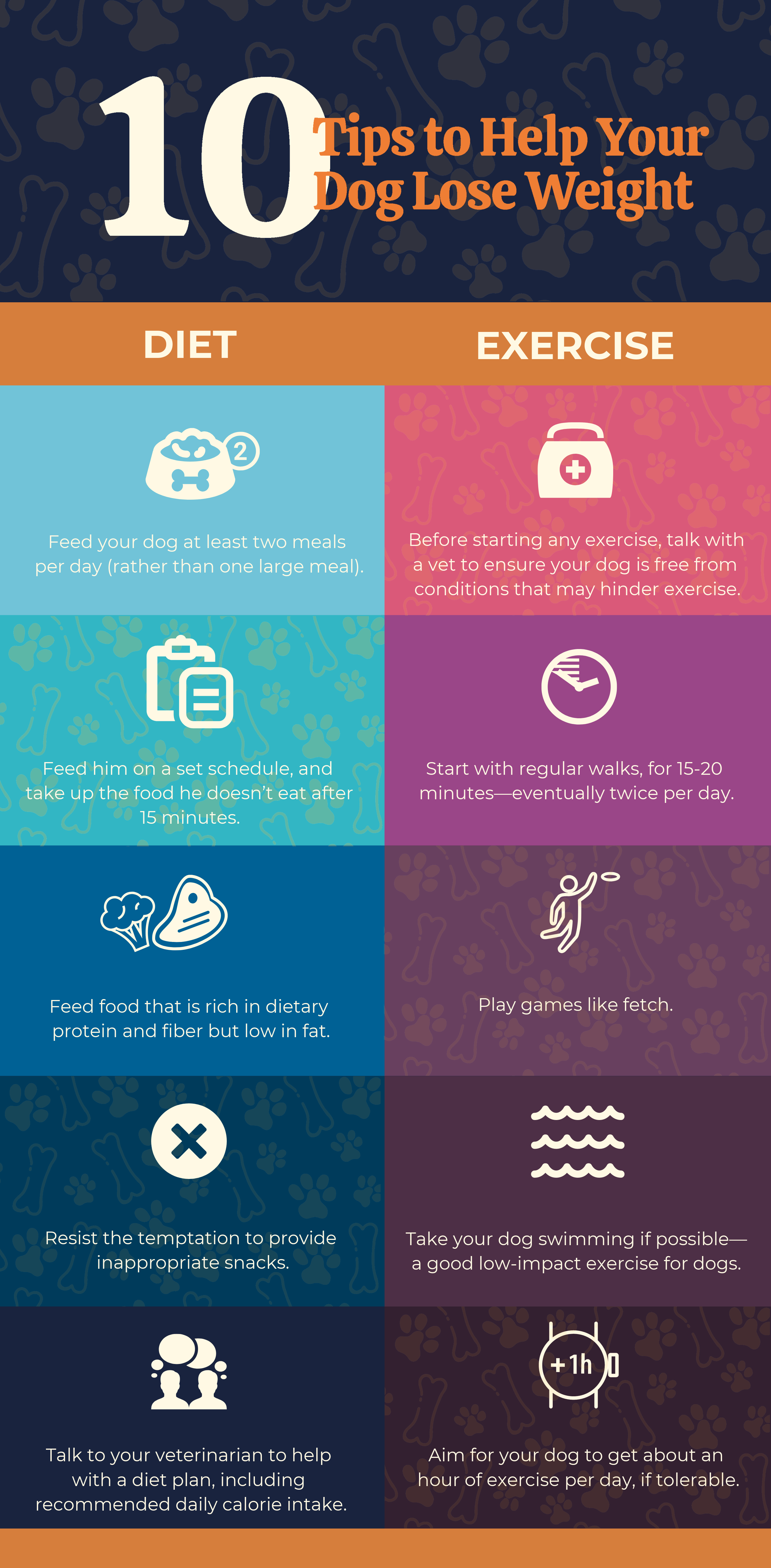 Infographic top ten tips to help dogs lose weight Infographic top ten tips to help dogs lose weight