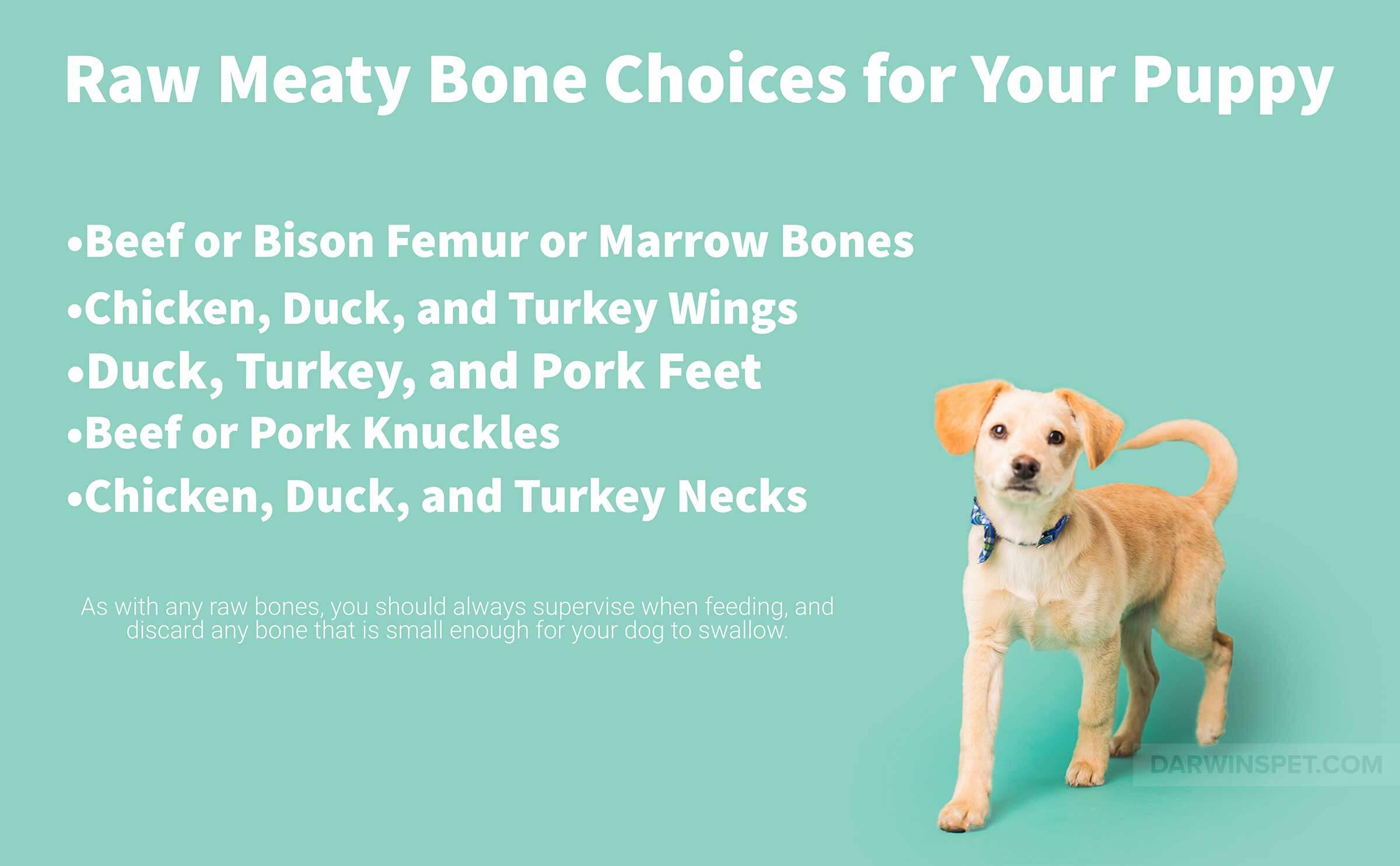raw-treats-bones-for-puppies