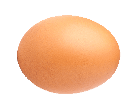 eggsfordogs