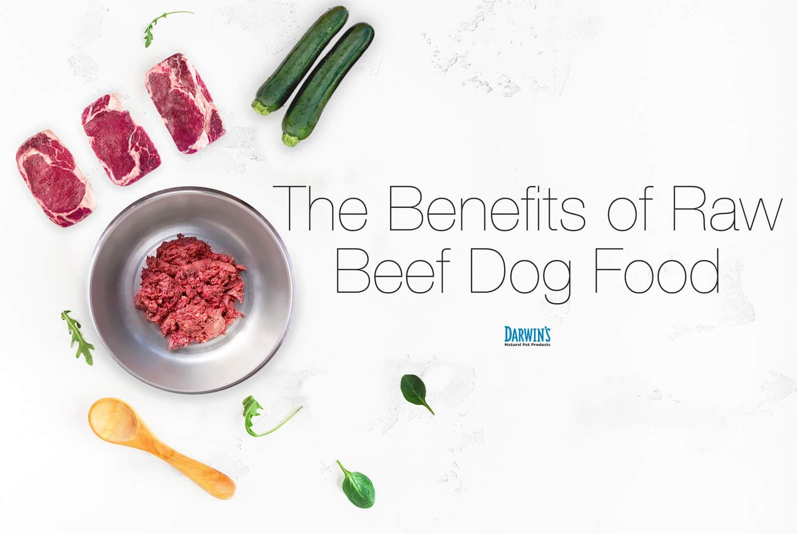 Nutritionally Balanced Raw Beef Dog Food
