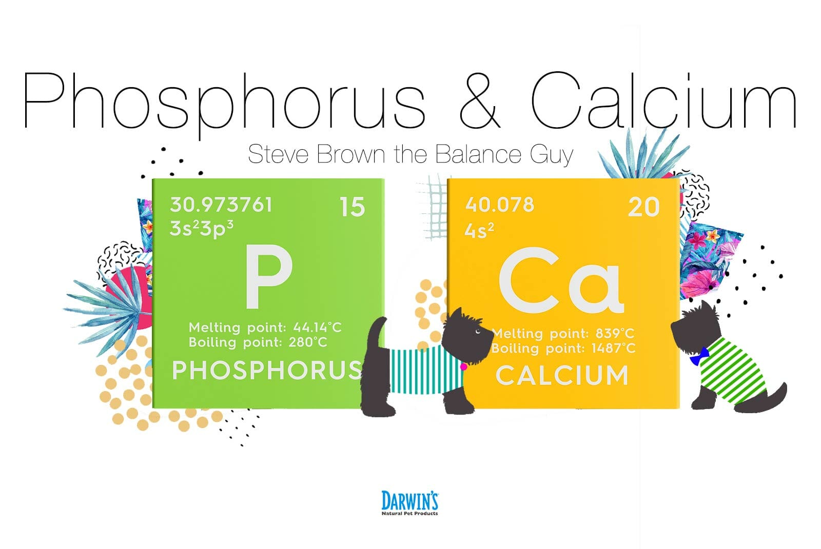 Focus on Nutrients: 2 Calcium and Phosphorus