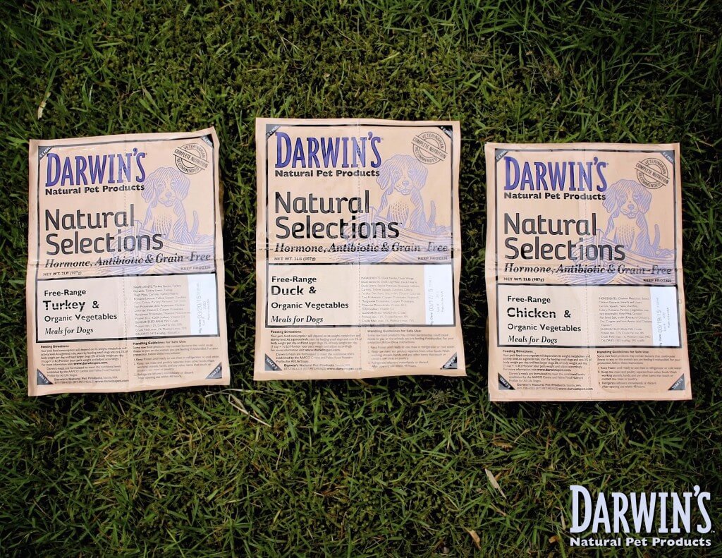 Darwin’s New Raw Dog Food Formula