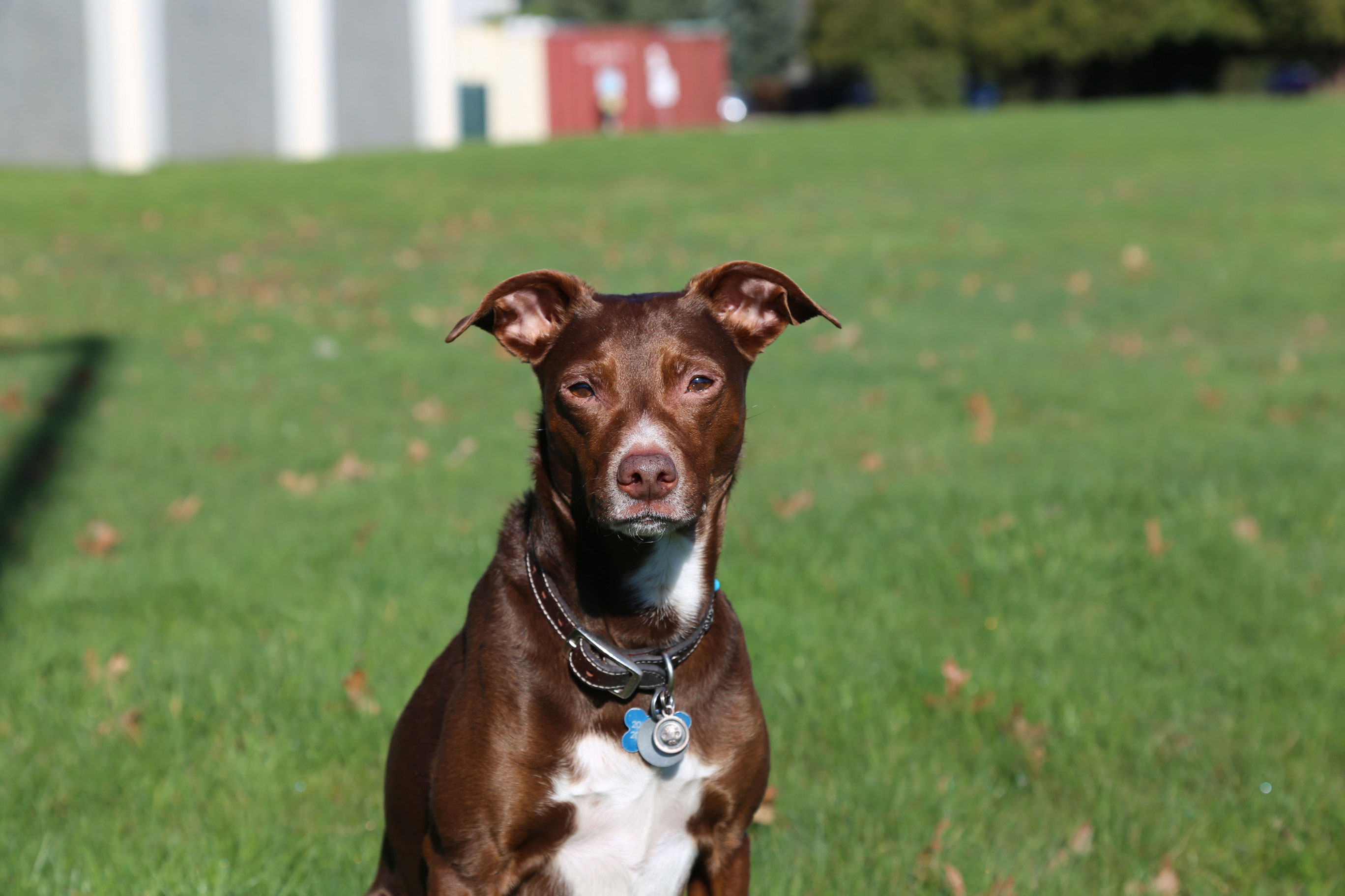 Shared Love: Lucy’s Story