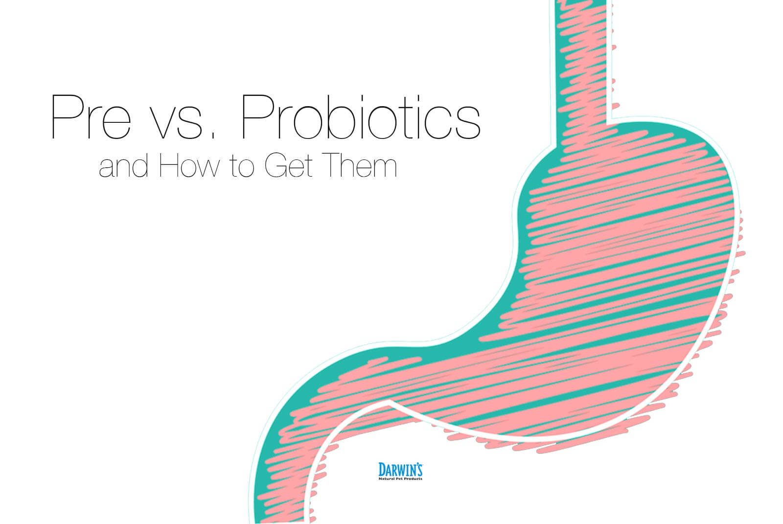 pre probiotics for dogs