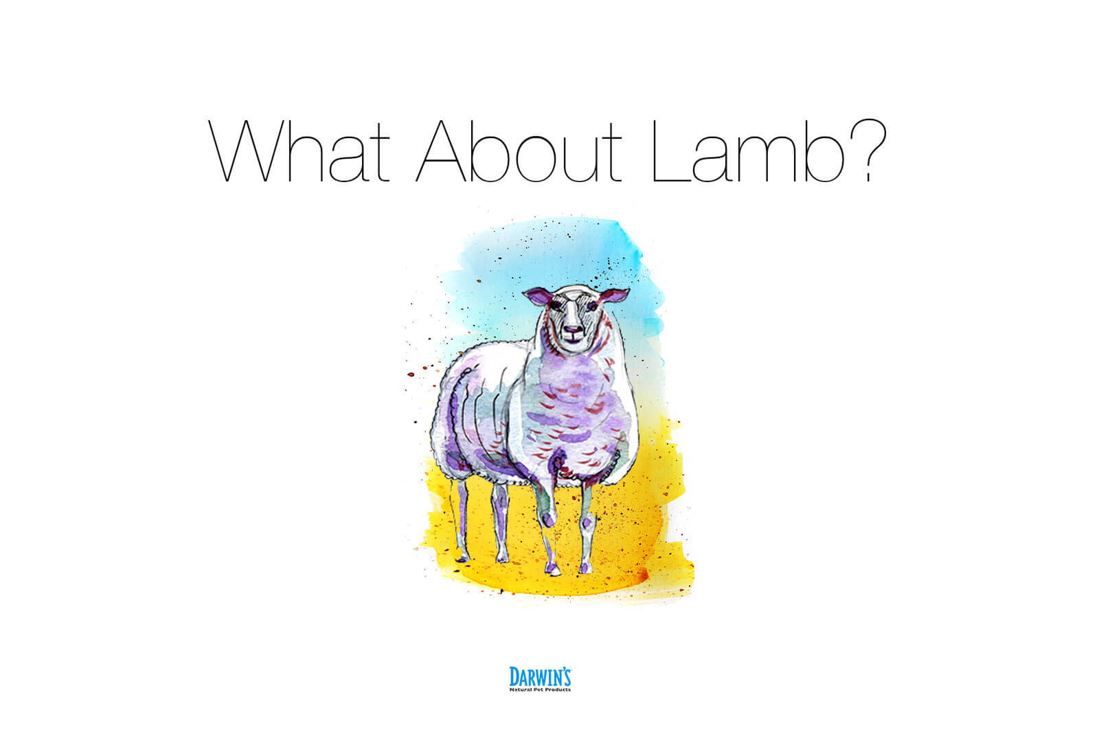 What About Lamb? – Ask Darwin’s