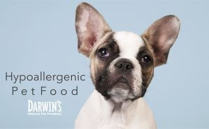 Choosing the Right Hypoallergenic Pet Food