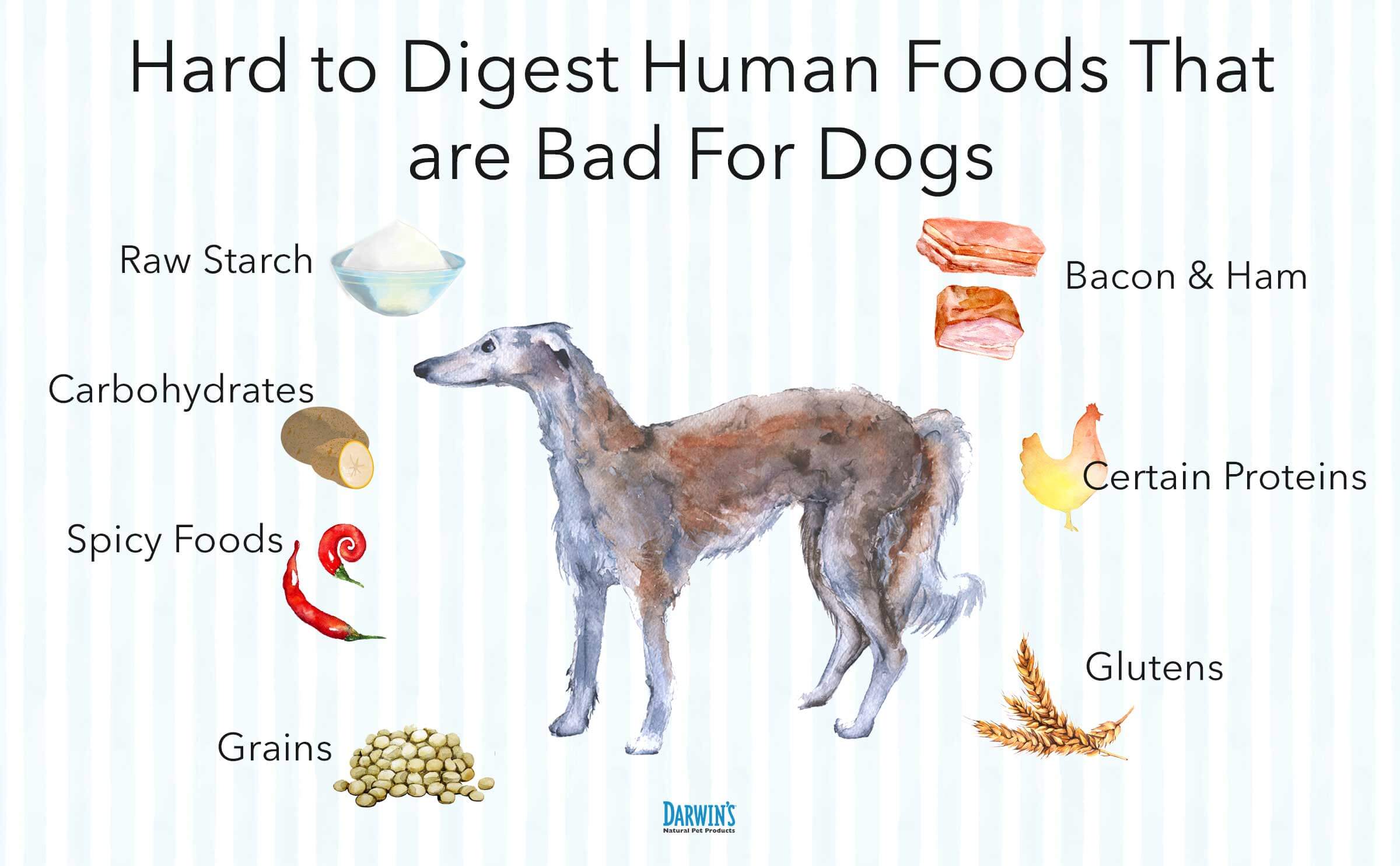 Dog Food for Digestive Problems | Darwin's Natural Pet Products