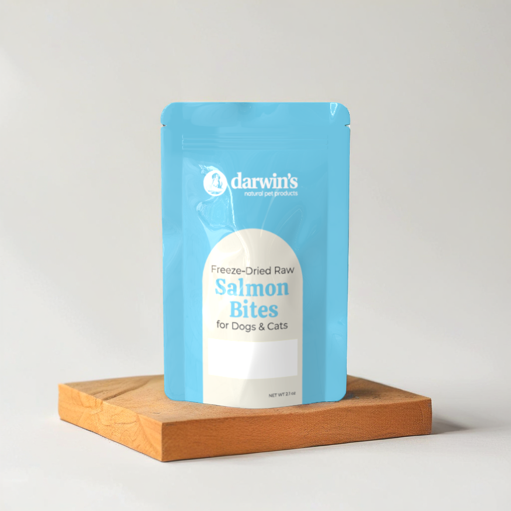 Freeze-Dried Raw Salmon Bites (2.1 oz)