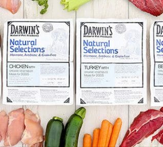 darwin's raw dog food